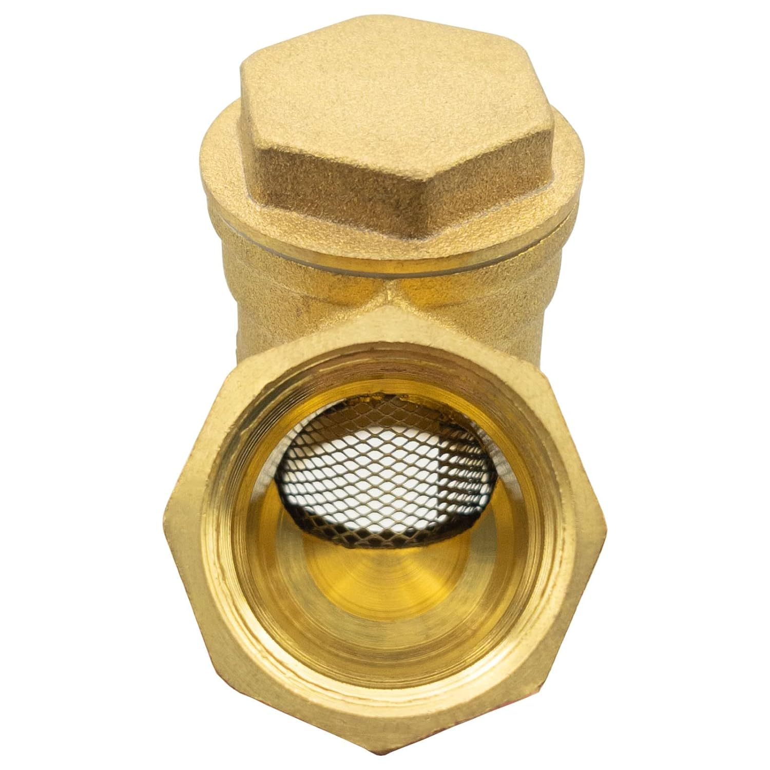 Y lọc đồng Miha - Ảnh 2